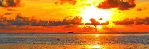 Griffin Phelps banner