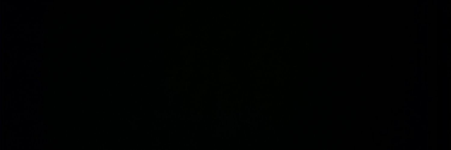 timotheelee's profile banner image