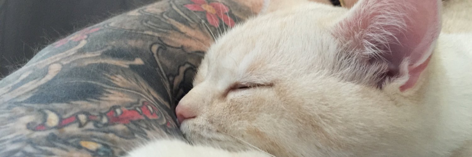 tnaspo's profile banner image