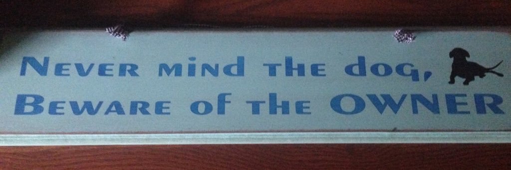 Disabled Paws🎗💛 banner