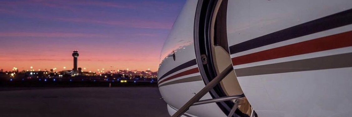 im dog and im not a coin banner