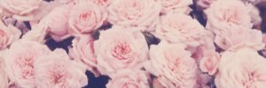 Daiki___No_1's profile banner image