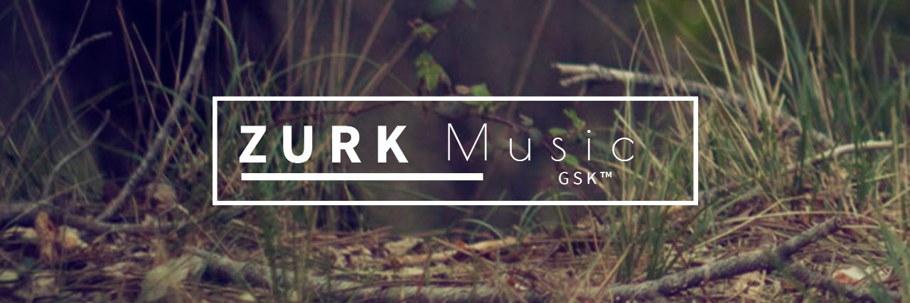ZurkMusic's profile banner image
