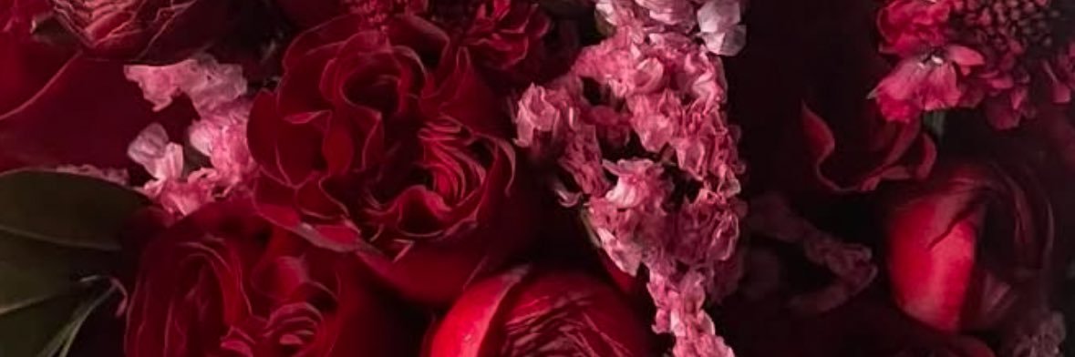 TashAngelica's profile banner image