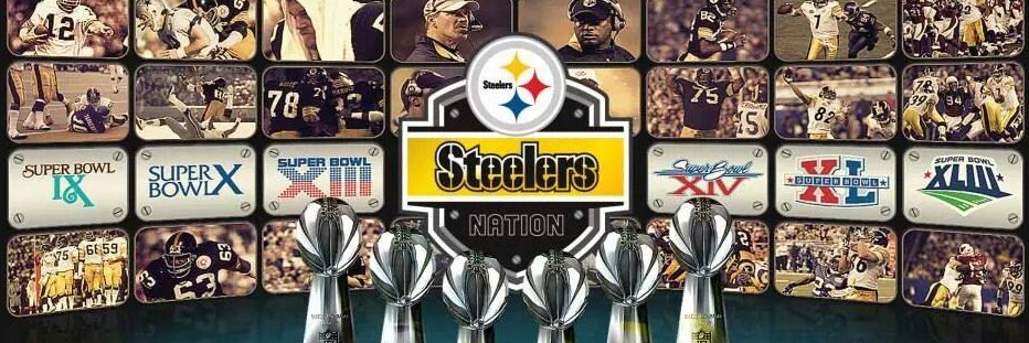 SteelerWayne banner