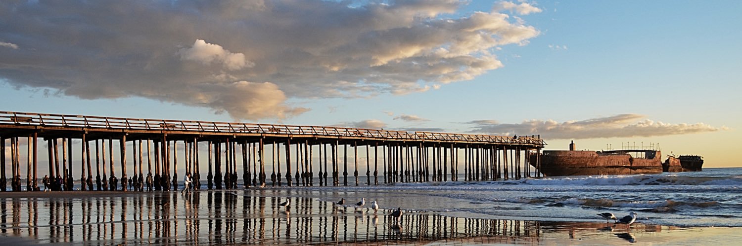 Native Santa Cruz banner