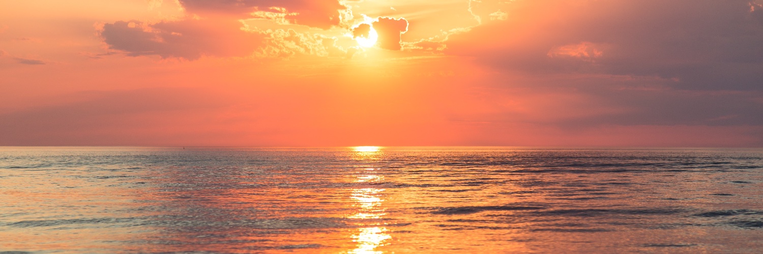 lisa_mathisen's profile banner image