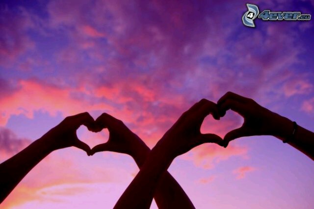 23stefa's profile banner image