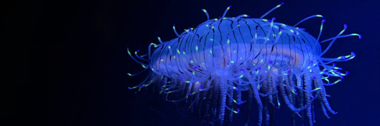 しな(なるみ) banner