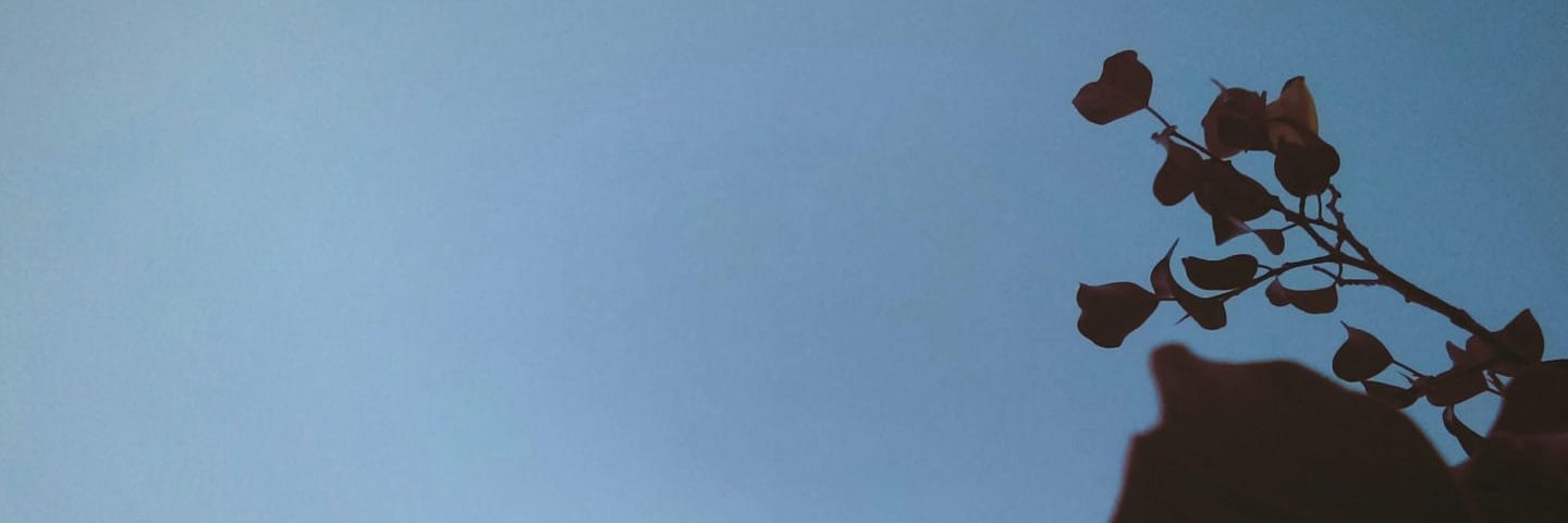MaelleDgr's profile banner image