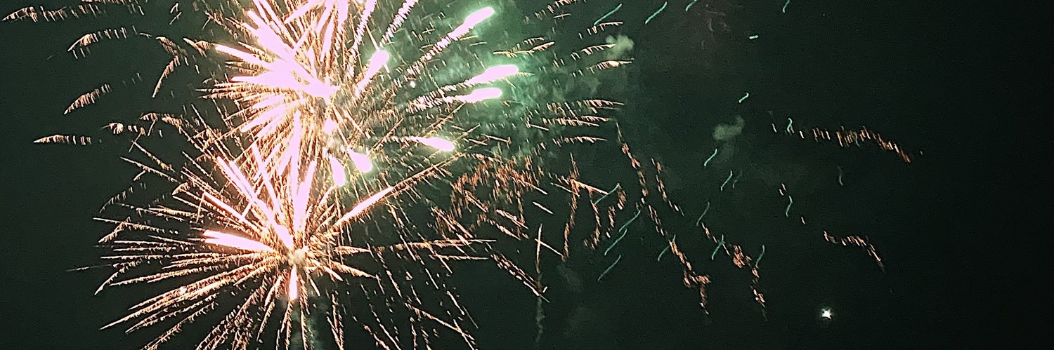 Caitlin Johnson banner