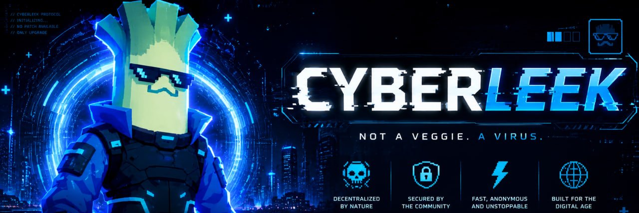 CyberLeekSOL's profile banner image