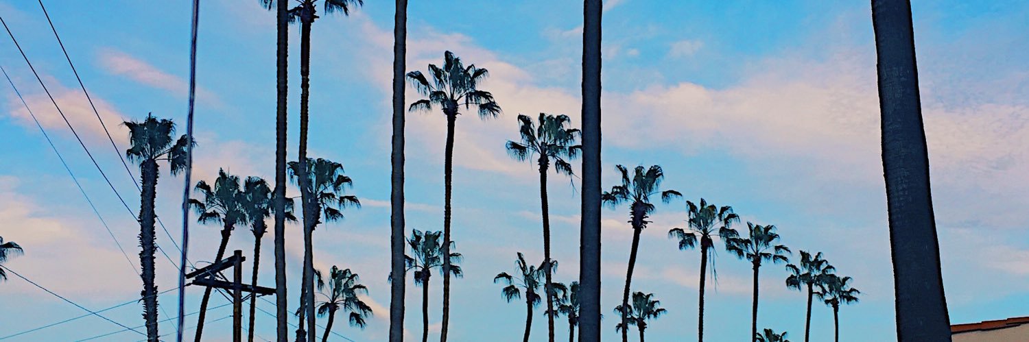 nocapforeal's profile banner image
