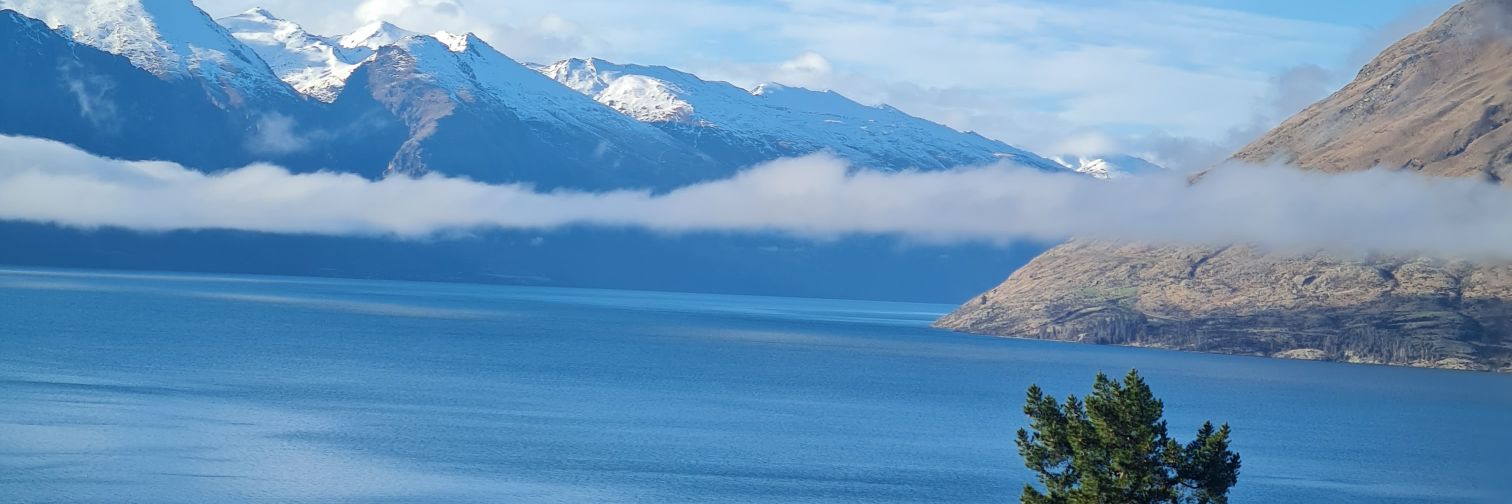 laylag2's profile banner image