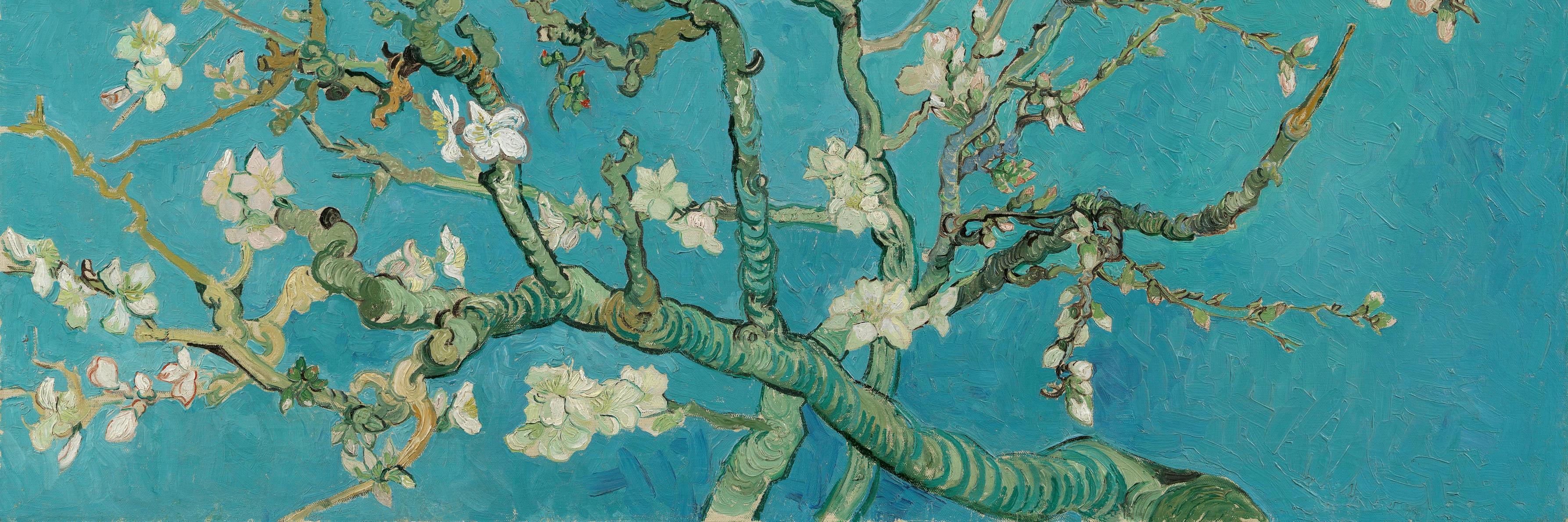 MuseumsTweets's profile banner image