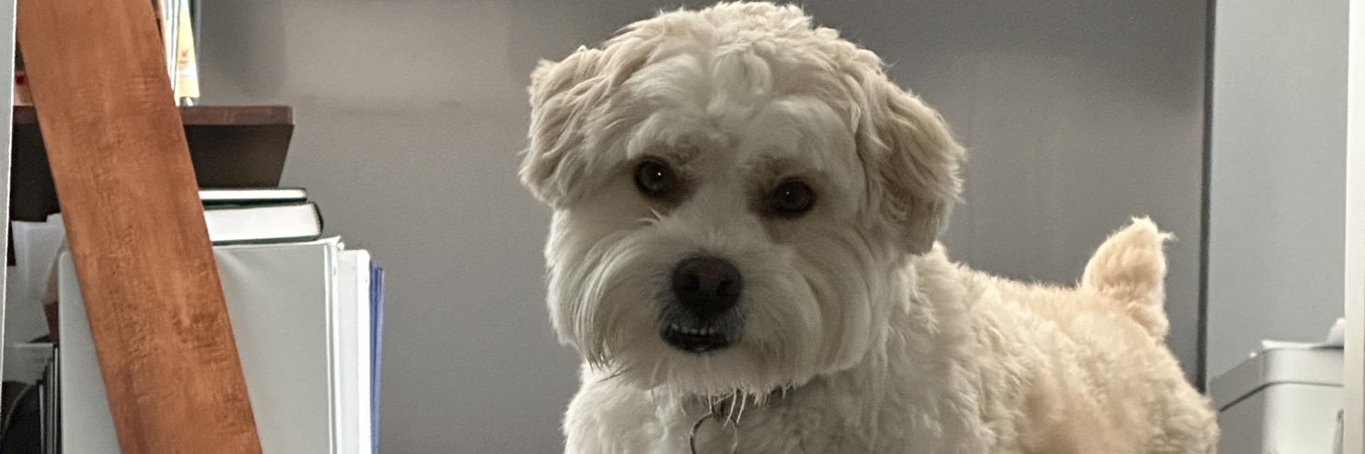 sethamphetamine's profile banner image