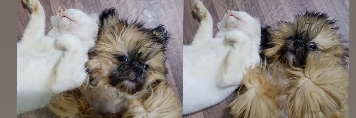Angielicious14_'s profile banner image