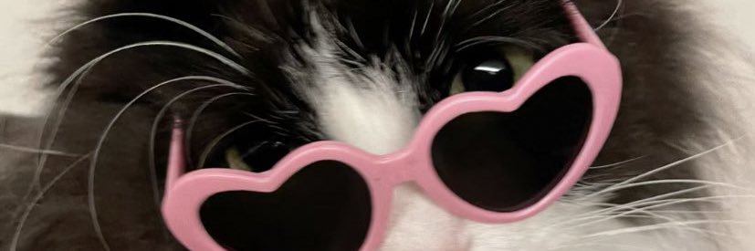 jlnhfa's profile banner image
