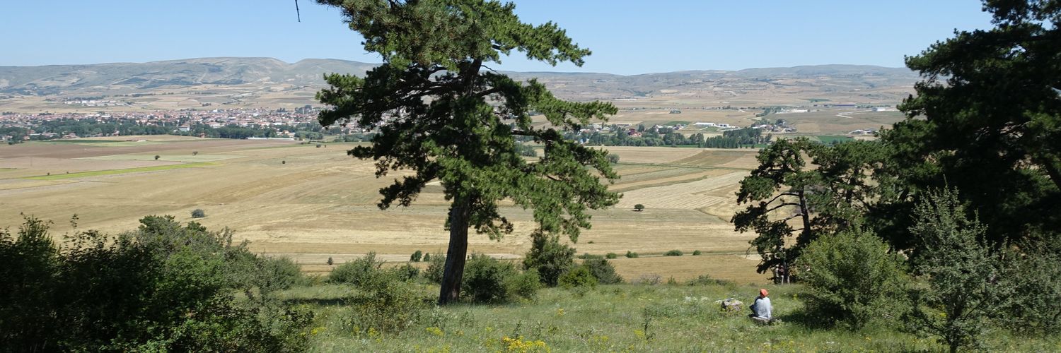 kzlgrdn's profile banner image