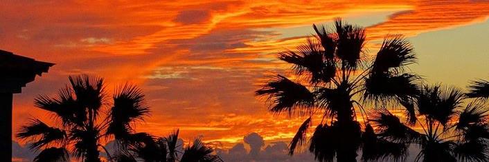 Tracy_Ann_M's profile banner image