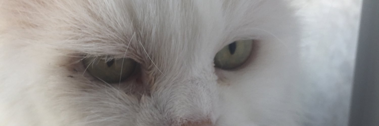 vikanufre's profile banner image