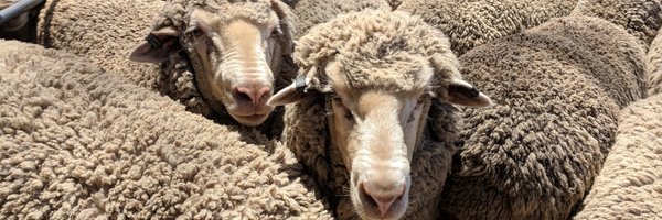 ramsaybaa Profile Banner