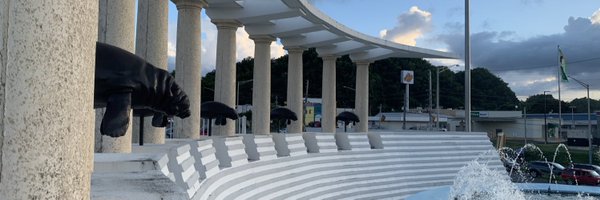 AlanaLlama Profile Banner