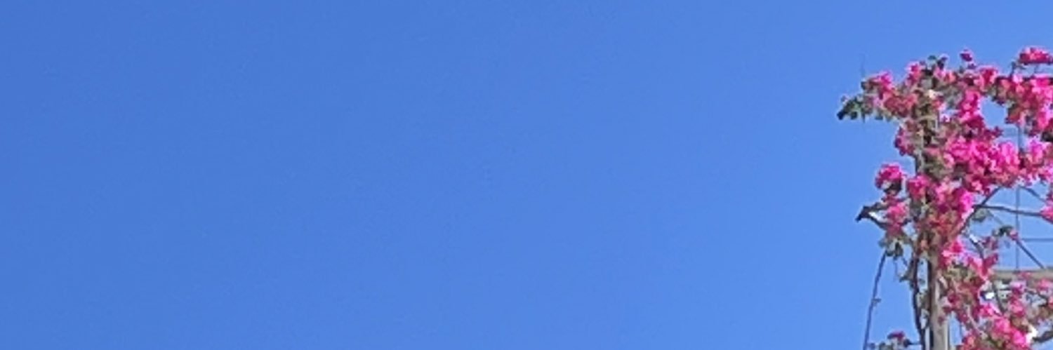 Robbie banner