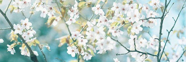 okk_lim's profile banner image