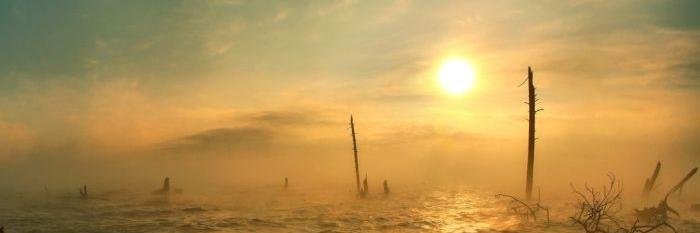 Me_Noctis's profile banner image
