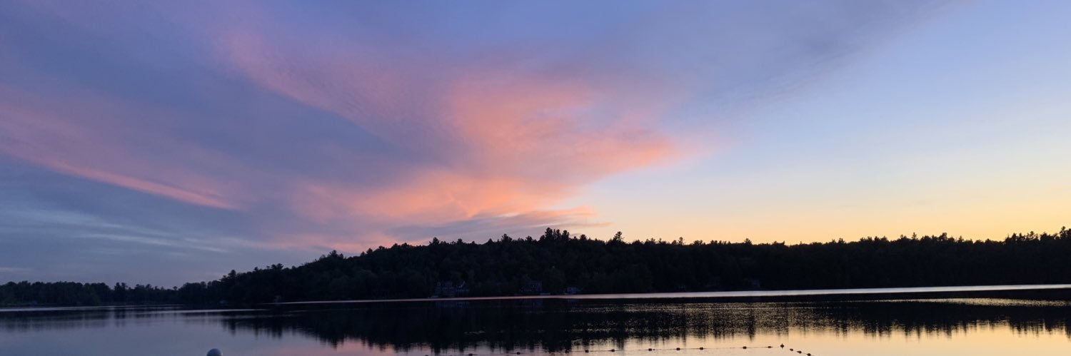 lyssa335's profile banner image