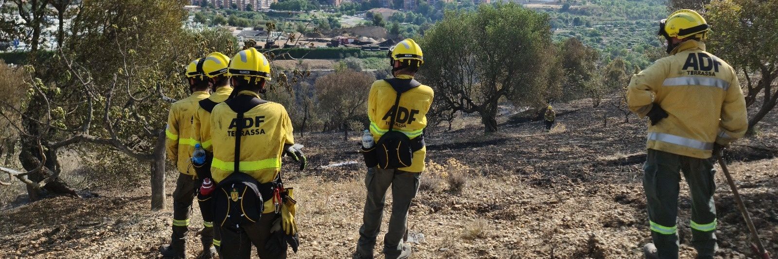 Voluntaris Forestals banner