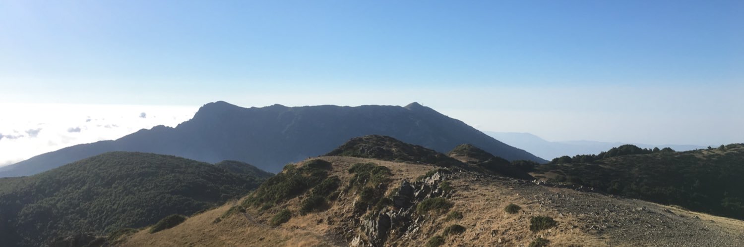 Òscar Fornas banner