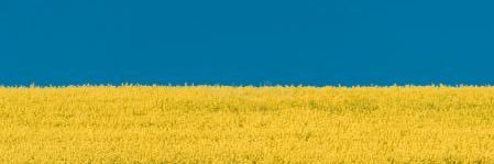 Florence de Massol🍀🇪🇺🇫🇷🎗️ 🇮🇷 🇺🇦 banner