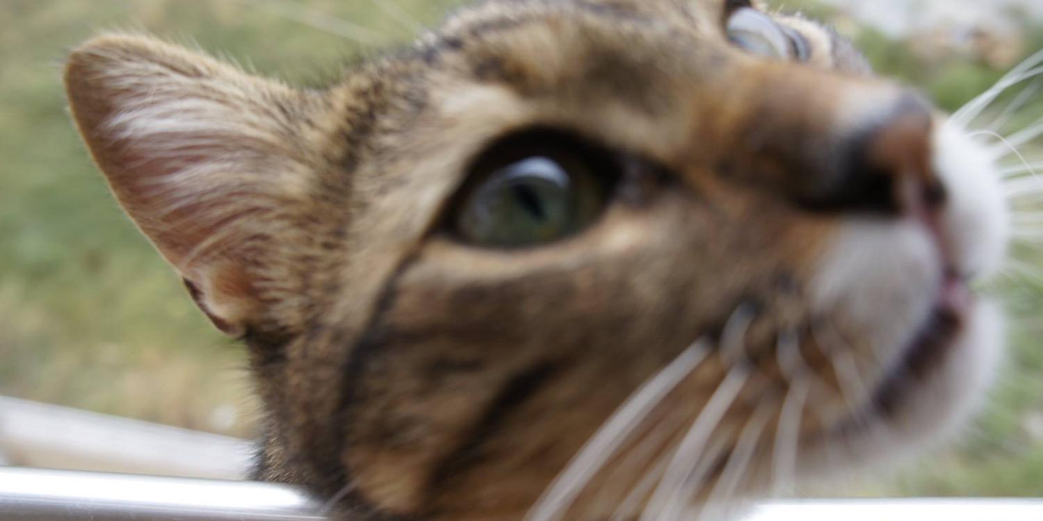 keeeds_'s profile banner image