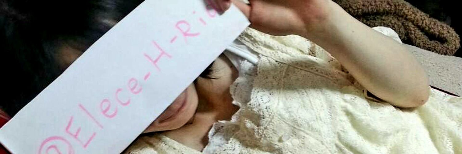 Elece_H_Rid's profile banner image