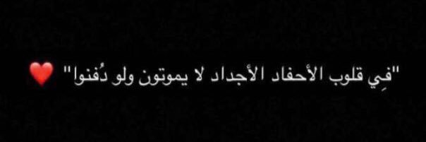 ميار الحربي banner