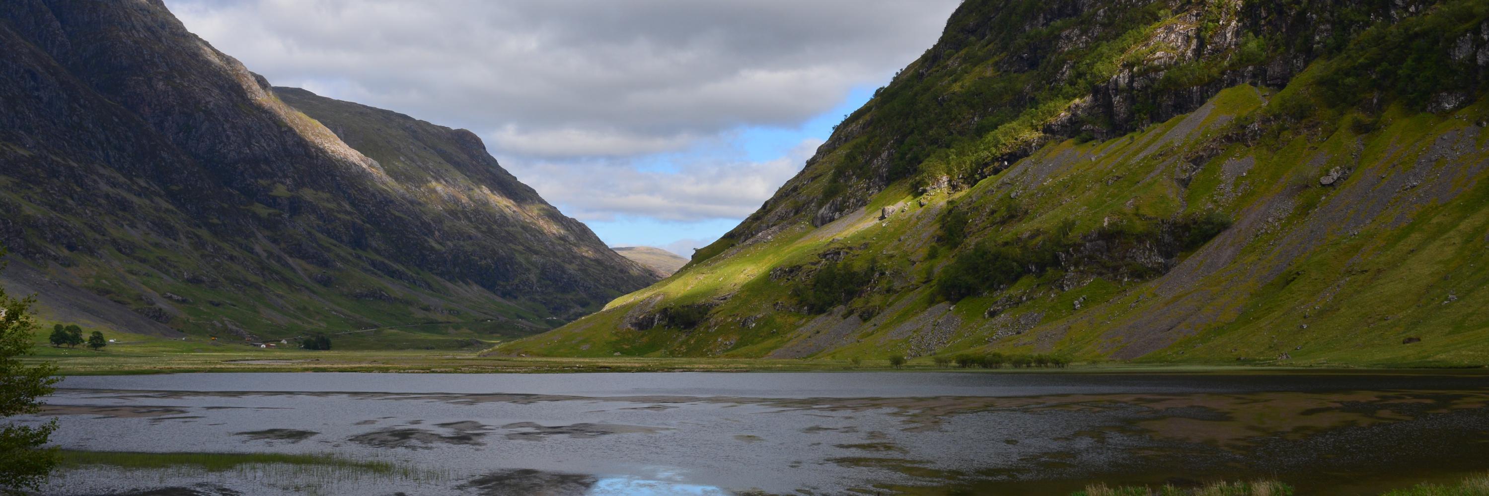 Stephanie Marciniak banner