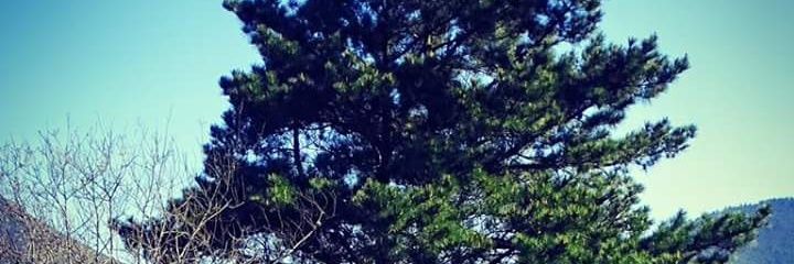 MariMoralejo_'s profile banner image