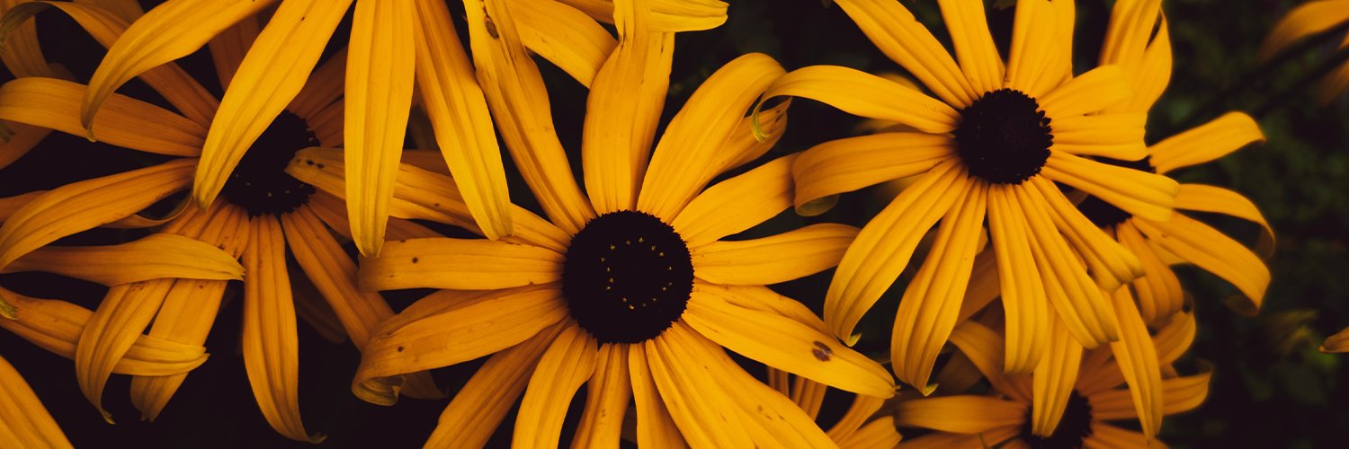 Community Foundation Boulder County banner