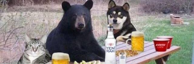 фенербахче banner