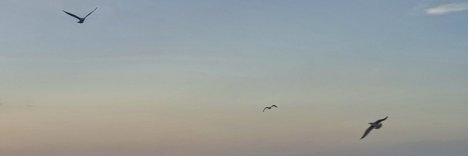 gab_lpg's profile banner image