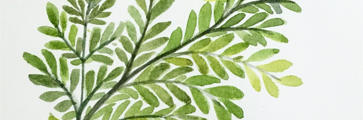 KimFlya's profile banner image