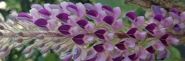 raquelitagma19 Profile Banner