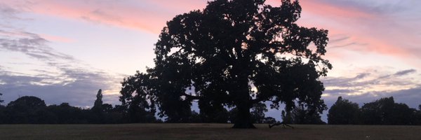 jagolee Profile Banner