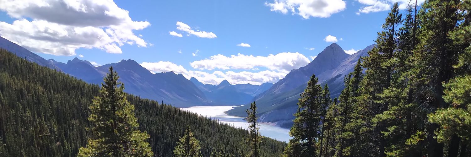 Dustin Longpré banner