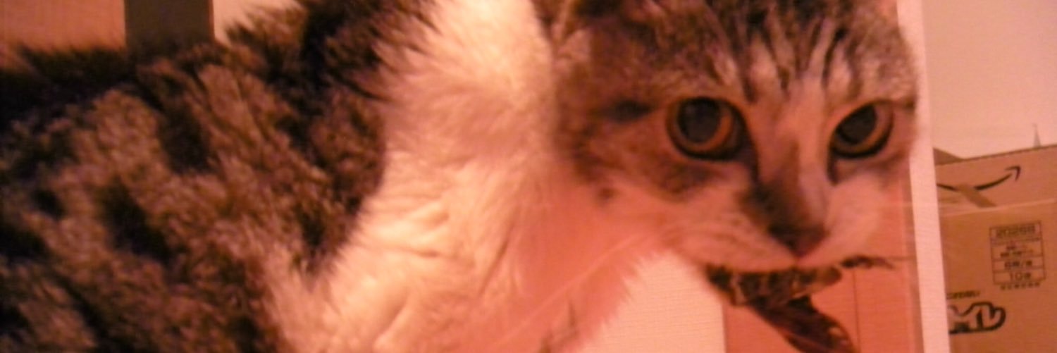 まり banner