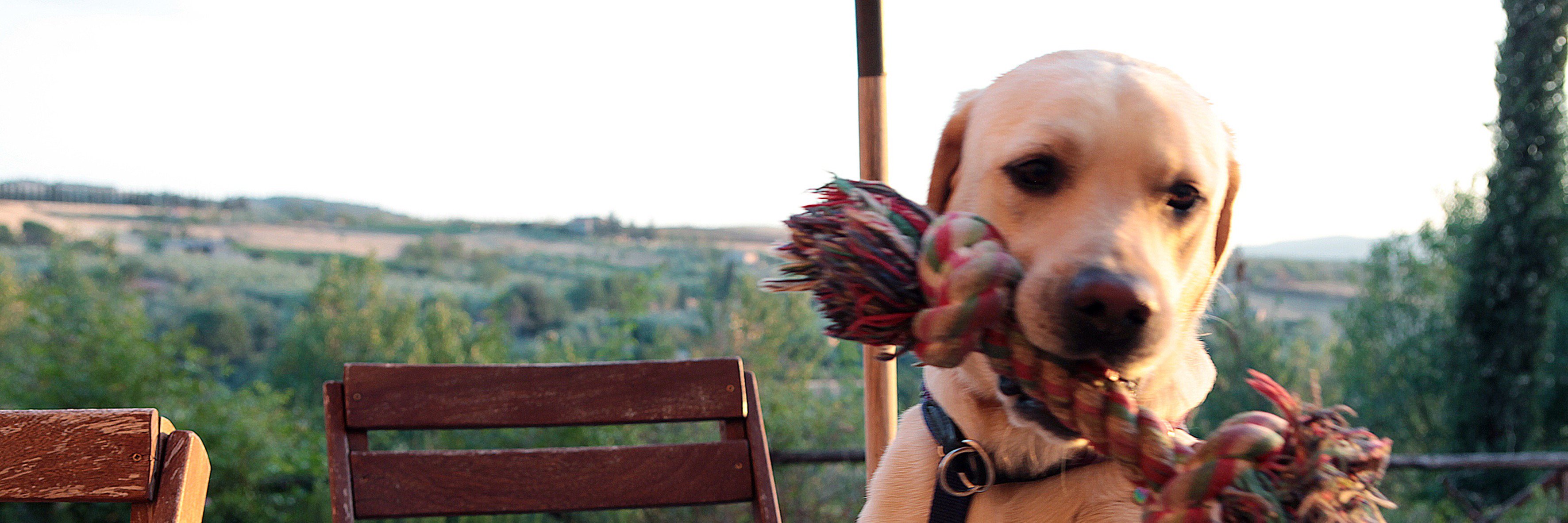 Giulia_Ravasi's profile banner image