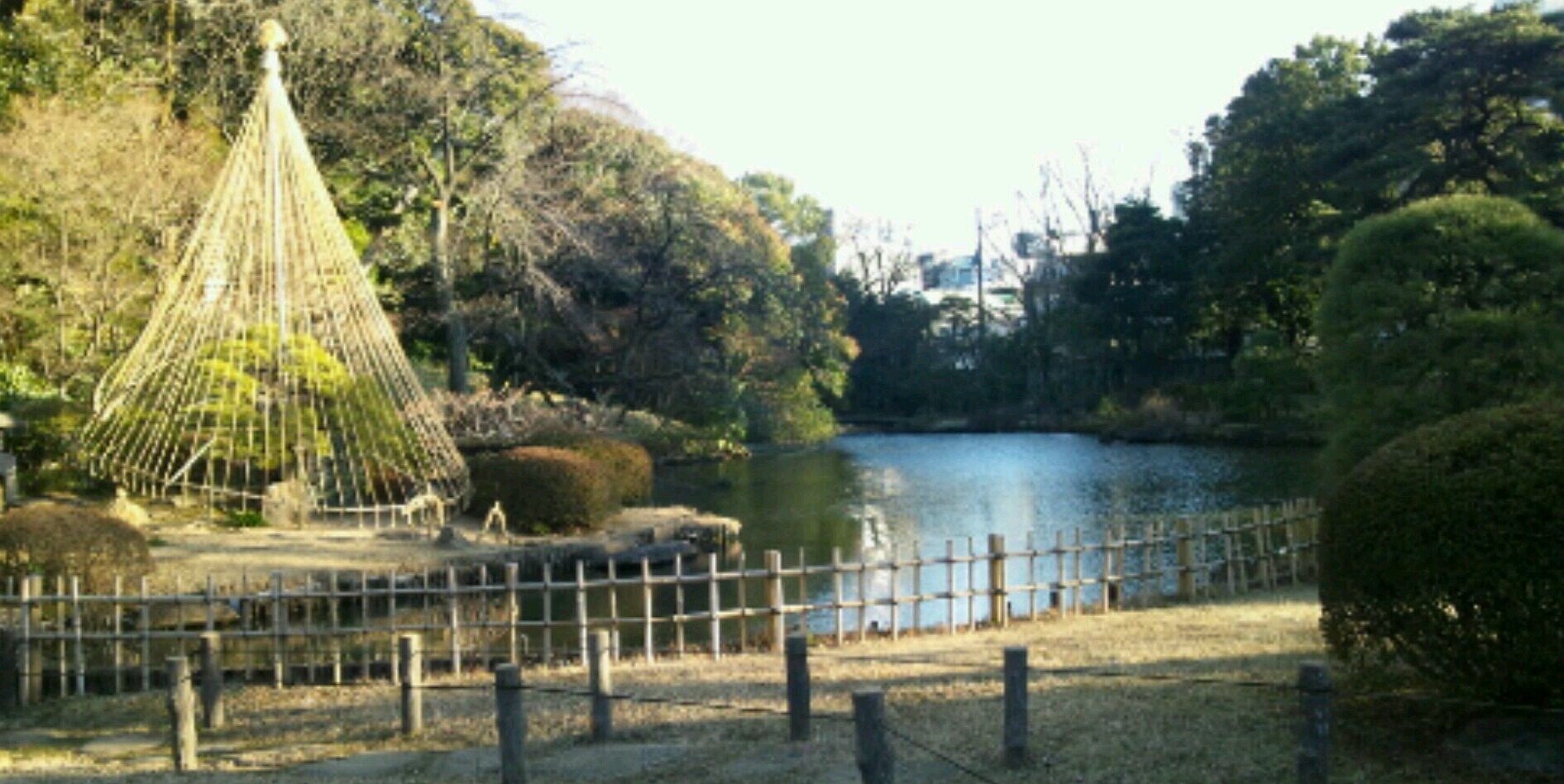 tudumi_m's profile banner image
