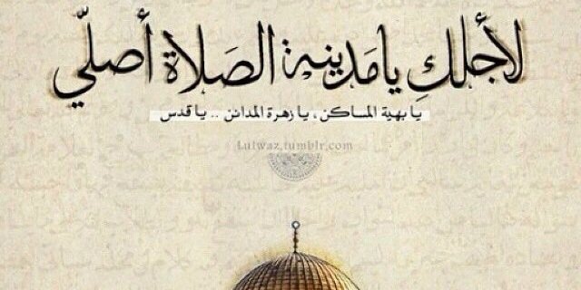 Saraa92a's profile banner image